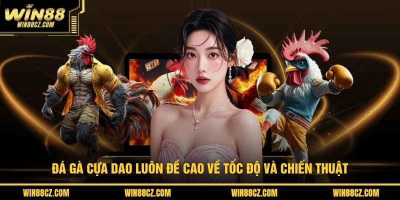 Đá gà cựa dao luôn đề cao về tốc độ và chiến thuật 